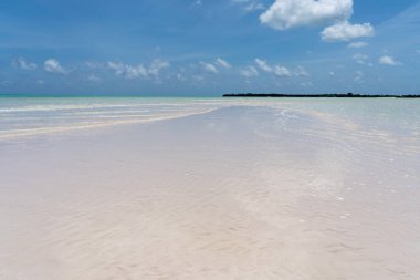 Bahamalar 'daki İspanyol Kuyuları' ndaki Pembe Kumsal