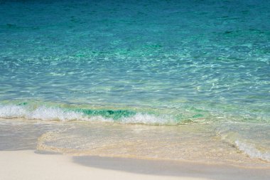 Cennet adasındaki el değmemiş kumlu sahil, Bahamalar.