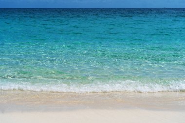 Cennet adasındaki el değmemiş kumlu sahil, Bahamalar.