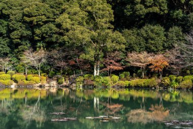 Japonya, Beppu 'daki Umijigoku' da güzel bir gölet bahçesi.