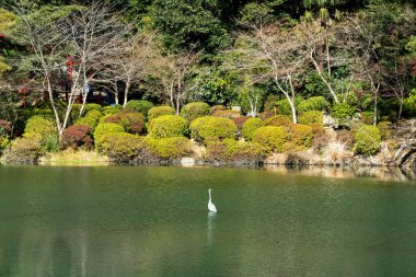 Japonya, Beppu 'daki Umijigoku' da güzel bir gölet bahçesi.