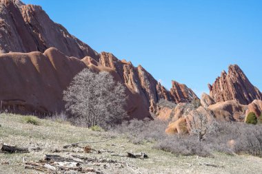 Kum taşı oluşumu roxborough state Park, colorado, ABD