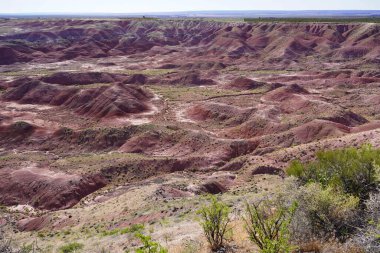        Arizona, ABD 'deki Petrified Forest Ulusal Parkı' nda Boyalı Çöl                        