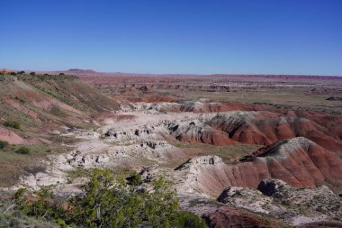        Arizona, ABD 'deki Petrified Forest Ulusal Parkı' nda Boyalı Çöl                        