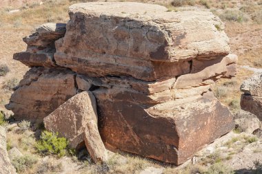 Arizona, ABD 'deki Petrified Forest Ulusal Parkı' ndaki Gazete Kayası