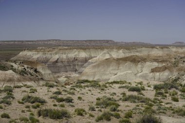Arizona, ABD 'deki Petrified Forest Ulusal Parkı' ndaki Mavi Mesa.
