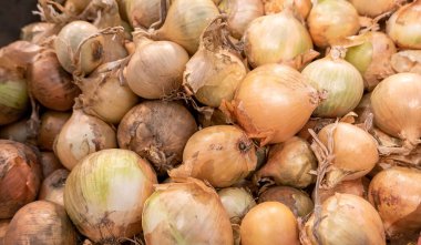 Çok büyük miktarda taze soğan, mağazadaki bir sandıkta bir sürü soğan, market, süpermarket, arka plan, arka plan, duvar kağıdı, hiç kimse. Doğal organik sebze hasadı, bir grup nesne.