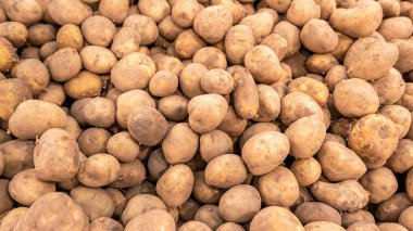 Çok büyük miktarda taze patates, marketteki bir sandıkta bir sürü patates, market, süpermarket. Basit çoklu hasat edilmiş patates arka plan dokusu, duvar kağıdı, hiç kimse, sebzeler.