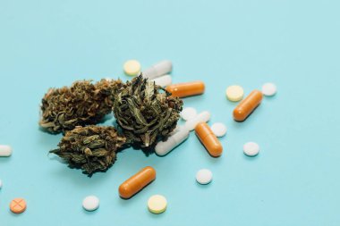 Tıbbi marihuana, üzerinde yargıç tokmağı ve haplar olan shinki bitkisi..