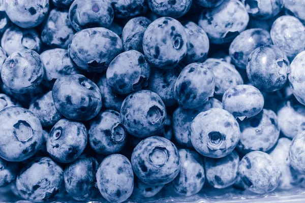 Mirtilo Azul Berry Close Fundo Bagas Frescas — Fotografia de Stock