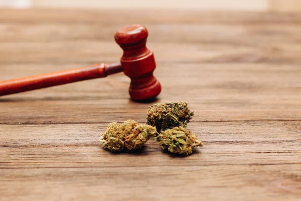Medicinsk Marijuana Blomstã Llningar Shejk Med Domarens Klubba Lag Koncept — Stockfoto