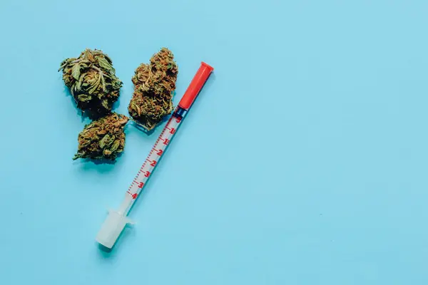 Marihuana Medicinal Inflorescencias Planta Hierbas Shinki Con Jeringa Tratamiento —  Fotos de Stock