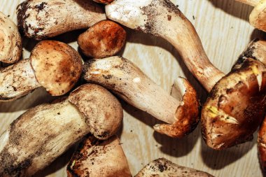 Kahverengi tahtalardan yapılmış bir masada yemek için hazırlanan Boletus edulis..