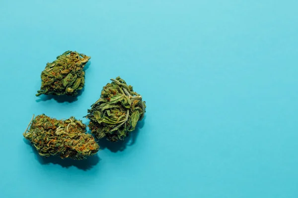 Marijuana Médicale Inflorescences Plantes Mauvaises Herbes Shinki Sur Fond Bleu — Photo