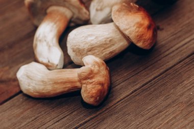 Kahverengi tahtalardan yapılmış bir masada yemek için hazırlanan Boletus edulis..