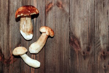 Kahverengi tahtalardan yapılmış bir masada yemek için hazırlanan Boletus edulis..