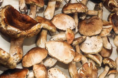 Kahverengi tahtalardan yapılmış bir masada yemek için hazırlanan Boletus edulis..