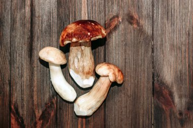 Kahverengi tahtalardan yapılmış bir masada yemek için hazırlanan Boletus edulis..