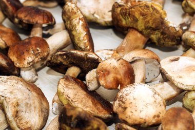 Kahverengi tahtalardan yapılmış bir masada yemek için hazırlanan Boletus edulis..