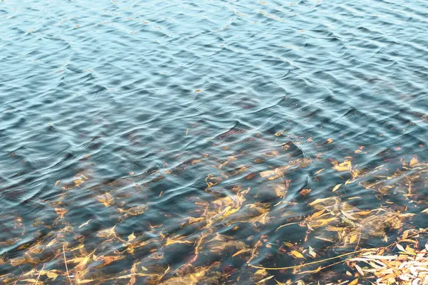 Nehir Yüzeyi Dokusu Güneşte Parlayan Dalgalar — Stok fotoğraf