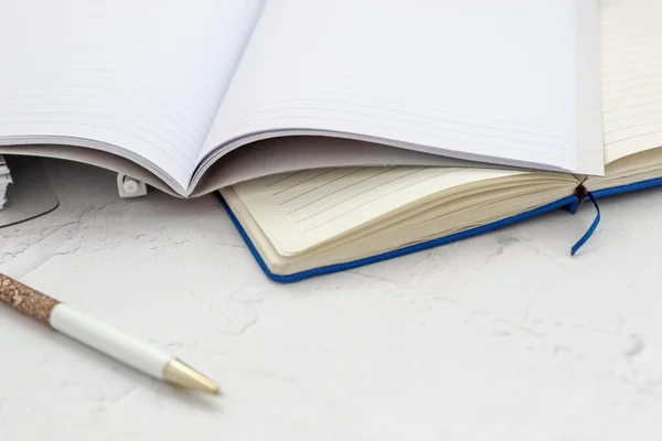 Długopis Znajduje Się Notatniku Pojęcie Badania Zarządzanie Czasem — Zdjęcie stockowe