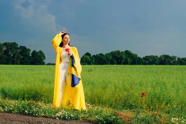 ウクライナの女の子とともに青黄色のフラグで彼女の手でフィールドの背景に — ストック写真