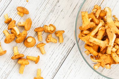 Cantharellus Cibarius, karatahta mantar sarısı