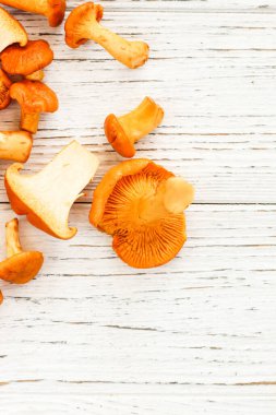 Cantharellus Cibarius, karatahta mantar sarısı