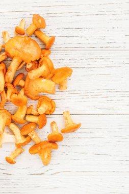 Cantharellus Cibarius, karatahta mantar sarısı