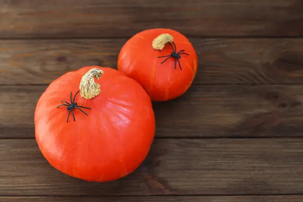 Pumpkin Spiders Wooden Table Halloween Concept — Stock Photo, Image