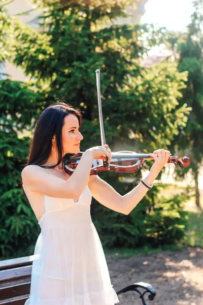 Donna Artista Con Capelli Scuri Abito Suona Concerto Legno Violino — Foto Stock