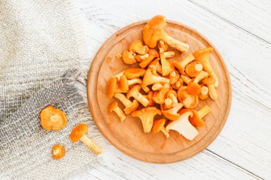 Cantharellus Cibarius, karatahta mantar sarısı