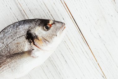 Taze deniz kestanesi balığı beyaz bir masada yatıyor.