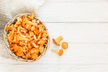 Cantharellus Cibarius, karatahta mantar sarısı