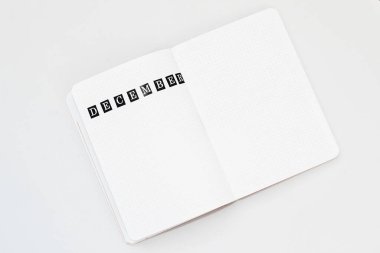 Günlüğü doldurmak, Aralık 'ı bir deftere nokta ile yazmak.