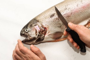 Balık kırmızı nehir alabalığı, teraziyi temizleme, ev yemeği.