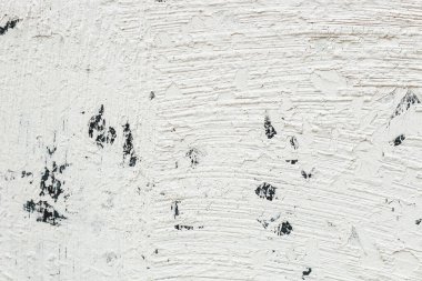 Gri alçının dokusu yakın planda.