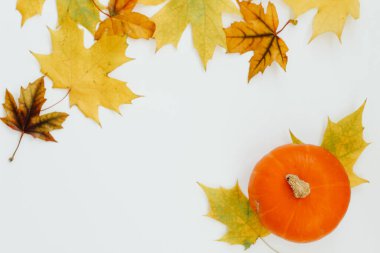 Sonbahar durgun bir hayat, beyaz arka planda balkabağı bırakır, metin için yer