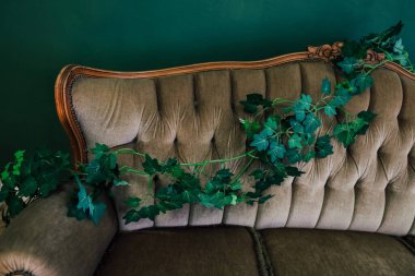 Kaliteli kahverengi bir kanepe yemyeşil sarmaşıklarla süslenir. Odada sıcak ve davetkar bir atmosfer yaratır..