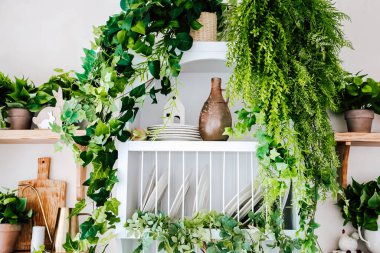 Mutfak rafında bereketli yeşillik, basit çömlek ve zevkli bir dekor var, davetkar ve huzurlu bir atmosfer yaratıyor..