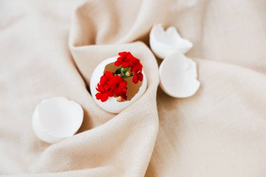 Bej kumaş yüzeyinde narin bir yumurta kabuğu içinde taze çiçekler. Paskalya dekoru