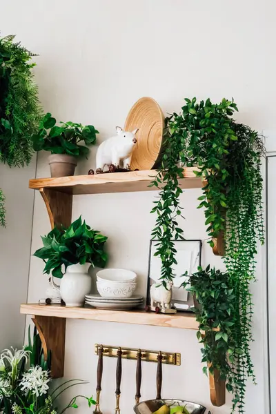 Çeşitli bitkiler, dekoratif eşyalar ve çömlekçilik içeren ahşap raflar odada sıcak ve davetkar bir atmosfer yaratır..