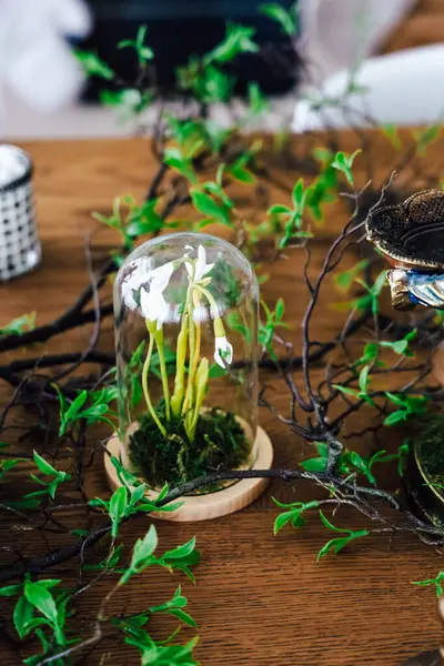 Dekoratif dallar ve yeşil yapraklarla çevrili cam bir kubbenin altına dikkatlice yerleştirilmiş bir bitki..