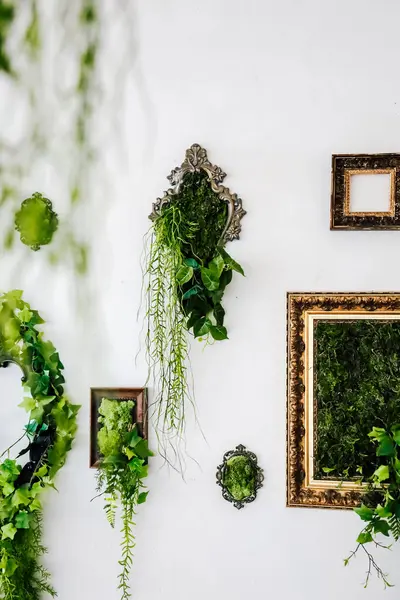Düzenleme, dekoratif çerçevelerde çeşitli yeşil bitkilerle süslenmiş bir duvar sergiliyor, canlandırıcı, canlandırıcı bir ortam yaratıyor..
