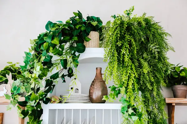 Bereketli yeşil bitkiler, kırsal çömlekçilikle eşleştirilmiş beyaz bir raftan taşarak sıcak ve davetkar bir atmosfer yaratırlar..