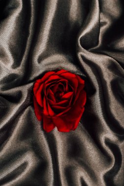Şatafatlı siyah ipek kumaşa yerleştirilmiş güzel kırmızı gül.
