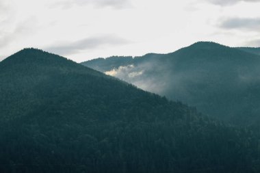 Şafak sökerken engebeli dağ zirveleri arasında sis yükselir, vahşi doğada sakin ve sakin bir atmosfer yaratır..