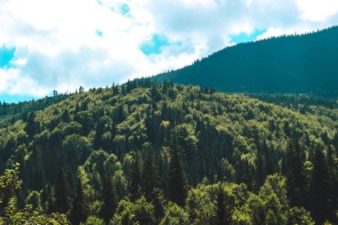 Parlak yeşil ağaçlarla kaplı yuvarlanan tepeler bulutlu mavi gökyüzüne doğru uzanıyor. Sıcak bir yaz gününde doğal güzellikleri vurguluyor..
