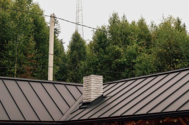 Canlı bir ormana yerleşmiş bu eşsiz yapı parlak bir çatıya ve yüksek ağaçlarla çevrili taş bir bacaya sahiptir..