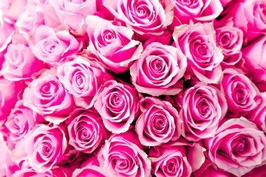 Bereketli pembe güllerden oluşan bir kolleksiyon canlı renklerini ve narin taç yapraklarını sergiliyor çarpıcı bir çiçek aranjmanı oluşturuyor..